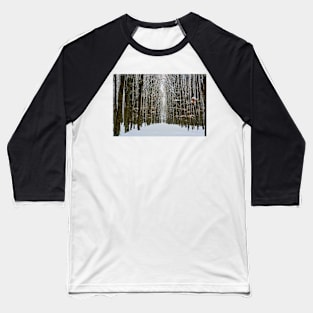 Oak forest in the winter Baseball T-Shirt